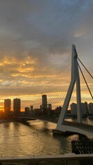 Vertical shot of the Erasmus bridge across the Nieuwe Maas river during the sunset in  Netherlands