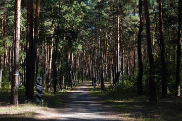 Memorial to those who died from political repression in 1937