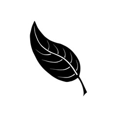 leaf icon, leaf icon vector, in trendy flat style isolated on white background. leaf icon image, leaf icon illustration