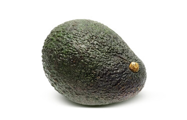 リアルなアボカドのイラスト