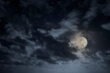 Fototapeta na wymiar Cloudy full moon night