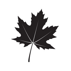 Canadian icon autumn leaves vector