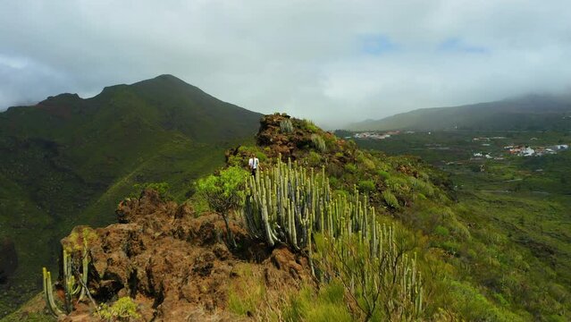 Alone woman walking in dangerous mountain path. Pretty girl goes along cliff. Cactus bushes, rocky volcanic landscape. Aerial. Athlete, hill ridge. Tamaimo. Risco Blanco. Tenerife.