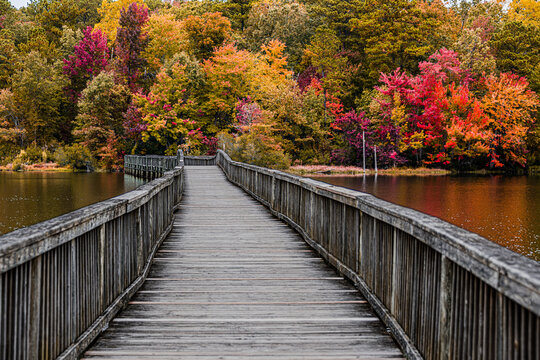 wooden bridge in autumn park