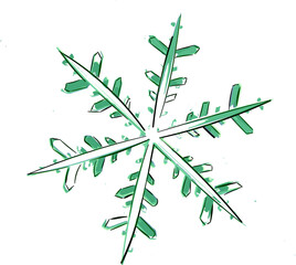 Snowflake 1