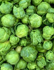 Fototapeta premium fresh brussels sprouts close up. green background for market with vegetables.