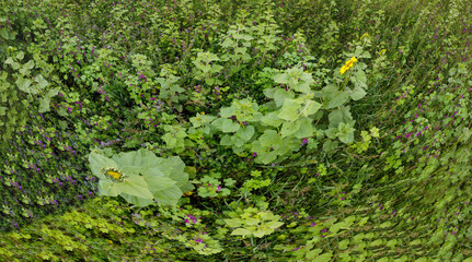 illustration background with colorful paints and patterns