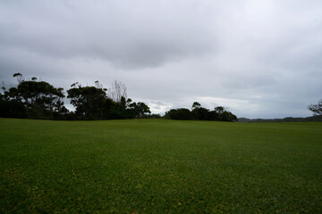Flag on a golf coarse at the putting hole with lush green turf, taken on a clouded murky day with soft lighting, hole in one