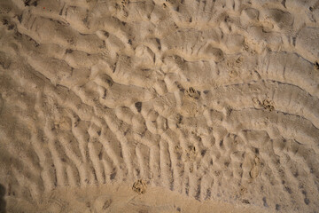 Beautiful patterns and textures formed on the beach in the sea sand on the coast of the Indian ocean as water washes out and pulls back, taken in midday sun