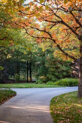 Vertical shot of a walkway surrounded by autumn trees in the park