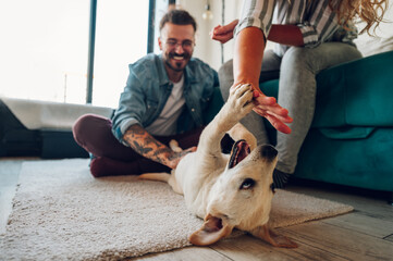 Couple petting their adopted dog at home
