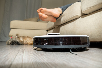 Robotic vacuum cleaner works near beige sofa in cozy living room. Shih tsu lies on floor near...