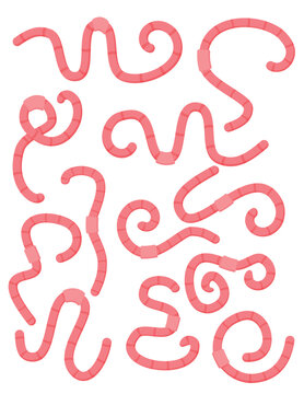 Cartoon pink worms set. Curled wiggling pests or earthworms isolated on white. Vector illustration for soil, nature, wildlife, fishing, helminthic disease concept