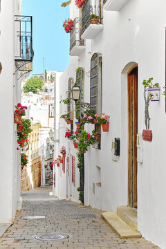 Picturesque narrow street with flowerpots in the village of Mojacar. Spain