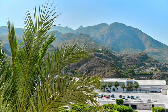 Car park of Mojacar village, green palm tree leaves on foreground