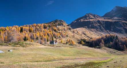 Scenic panorama in Upper Engadin, Switzerland on a sunny day in autumn. To the right the mountain "Piz da la Margna" can be seen.