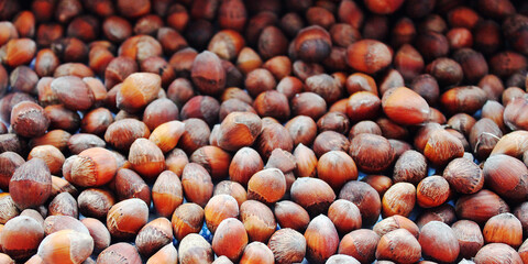 a bunch of shelled nuts, background