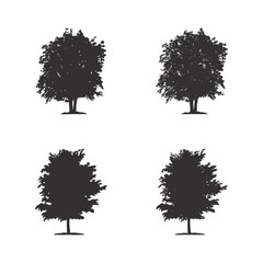 Tree silhouette isolated on white background vector illustration.