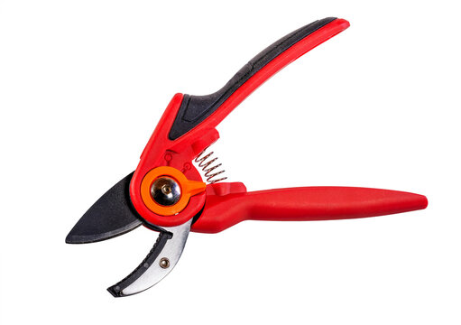 Isolated garden pruner with a red handle