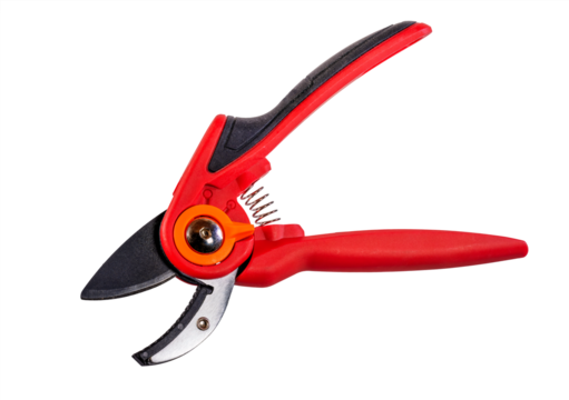 Isolated garden pruner with a red handle