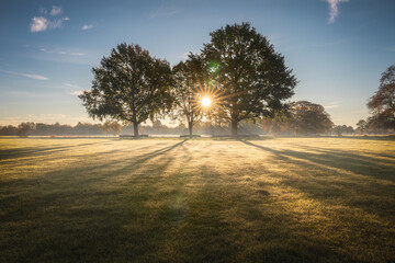 Sun comes through the trees at sunrise. Rhijnauwen located in Bunnik in the Dutch province of Utrecht.