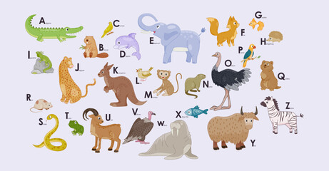 Cute wild animals Alphabet. Educational poster for kids with letters and images of mammals, birds, reptiles and fish. Element for school lesson. Cartoon flat vector illustration in scandinavian style
