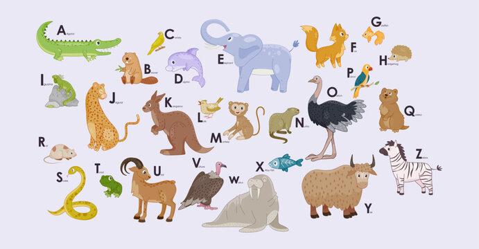 Cute wild animals Alphabet. Educational poster for kids with letters and images of mammals, birds, reptiles and fish. Element for school lesson. Cartoon flat vector illustration in scandinavian style