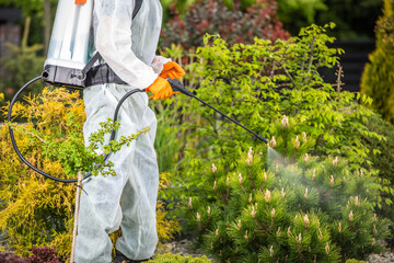 Gardener Performing Pesticide Application