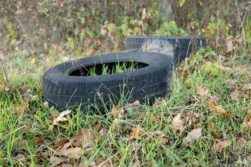 Old car tires were illegally discarded in the forest
