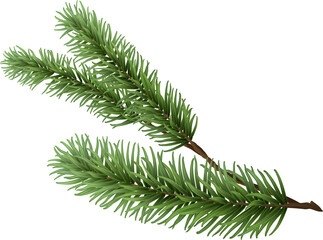 Spruce branch, isolated realistic decorative tree, Merry Christmas decor, pine illustration, firtree design.