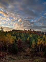 jesienny krajobraz © Marek