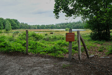 Forest with a pool and field of heather and a fence with barbed wire and a warning sign with Dutch text: Heather under development, No access. It is a protected nature area for nature restoration.