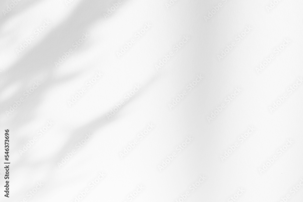 Poster Abstract white studio background for product presentation. Empty room with shadows of window and flowers and palm leaves . 3d room with copy space. Summer concert. Blurred backdrop.