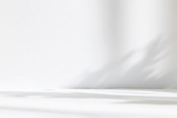 Abstract white studio background for product presentation. Empty room with shadows of window and flowers and palm leaves . 3d room with copy space. Summer concert. Blurred backdrop.