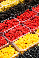 Colourful mix of different fresh berries at market. Red and yellow raspberries, blackberries and bilberries