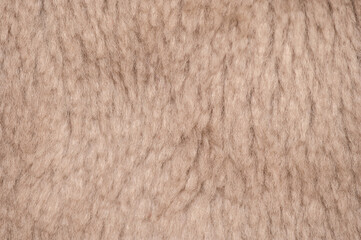 Sample of faux fur. flat lay