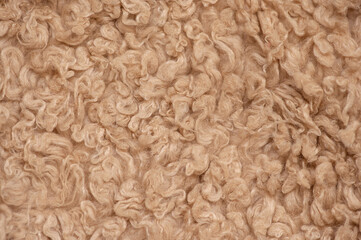Background of plush faux fur. flat lay