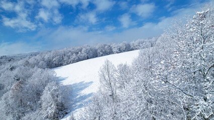 AERIAL: Beautiful woodland area and meadows covered with freshly fallen snow