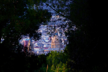 city among the trees