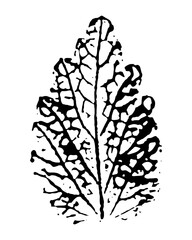 Vector silhouette of leaf. Botanical element, isolated on white background.