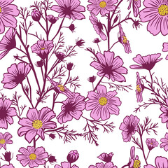 Cosmos flower seamless pattern. Vector illustration