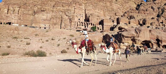 Jordan, Petra, camel