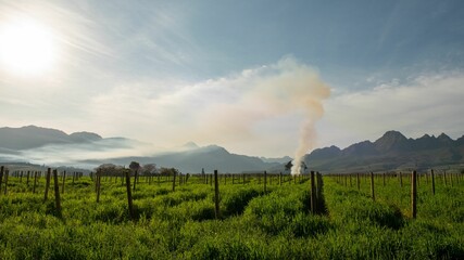 Large smoke causing environmental pollution in a disused wine field, Stellenbosch, South Africa