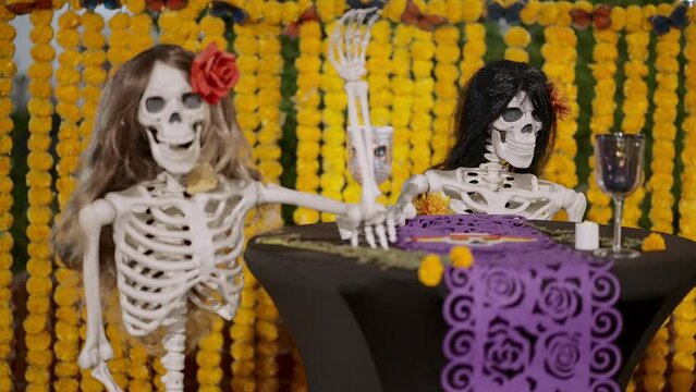 A couple of manikins of skeletons for the day of the death, dia de los muertos 