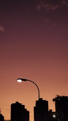 Street light  during sunset in the city