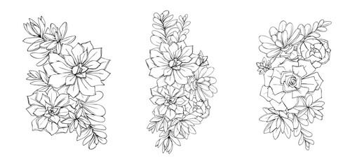 Fototapeta premium illustration of succulents flowers graphic decorative element black and white