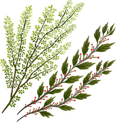 set of illustrations two Christmas twigs one Christmas tree with red berries the second with leaves and a red ribbon for Christmas