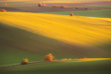Sunset or sunrise golden light over rolling hills and rural countryside landscape farmland in the...