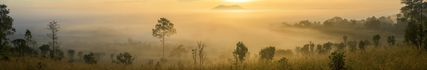 Panoramic of foggy at morning, Mountains top view of sunrise landscape in the rainforest, Thailand.