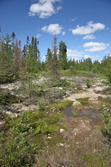 Obraz premium Chapleau Crown Game Preserve / Chapleau Crown Game Preserve /